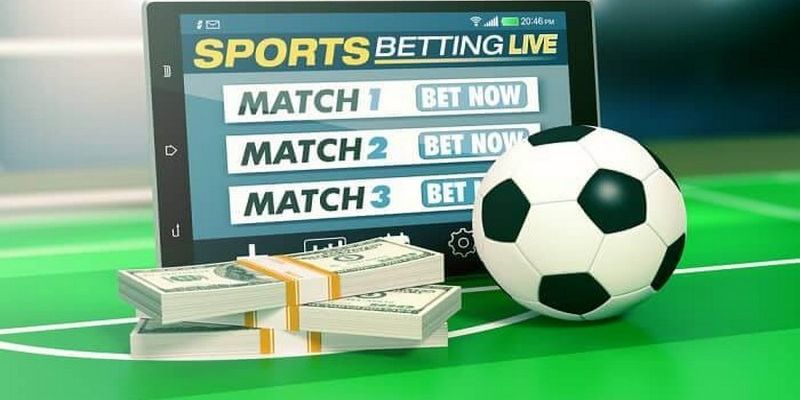 Live score Kinh nghiệm tối ưu khi theo dõi live score